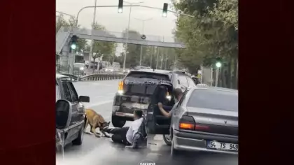 Sakarya'da başıboş köpek dehşeti: Yürüyüşe çıkan vatandaşı yolda sürükledi