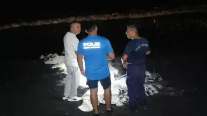 Samsun sahilinde sıcak saatler! Birçok noktada görüldü, ekipler alarma geçti