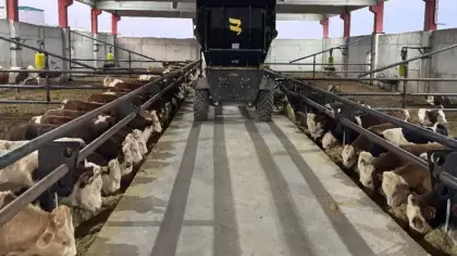 Şanlıurfa et üretim üssü oluyor! 5 bin kişiye istihdam sağlanacak