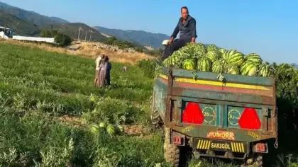Sarıgöllü üreticiden 