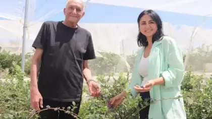 Şehir hayatından yoruldular, topraksız tarım üreticisi oldular!