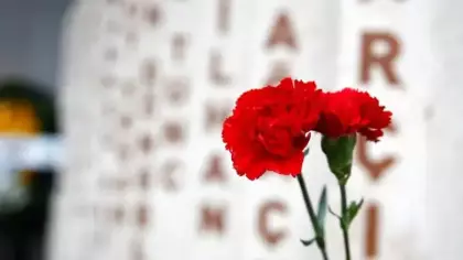 Şehit aileleri ve gaziler için tarihi adım: Tüm haklar baştan aşağı değişti