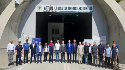 Serada değil tünelde yetiştiriliyor! İlk hasat yapıldı: Hedef 360 ton
