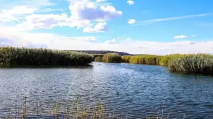 Sıfır Atık Vakfı, 120'den fazla sulak alan için çalışma yapacak