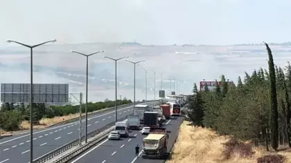 Silivri'de tarla yangını büyüdü: TEM otoyolunda trafik durdu!
