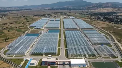 Simav Jeotermal Isıtmalı Sera Organize Tarım Bölgesi üretime hazır