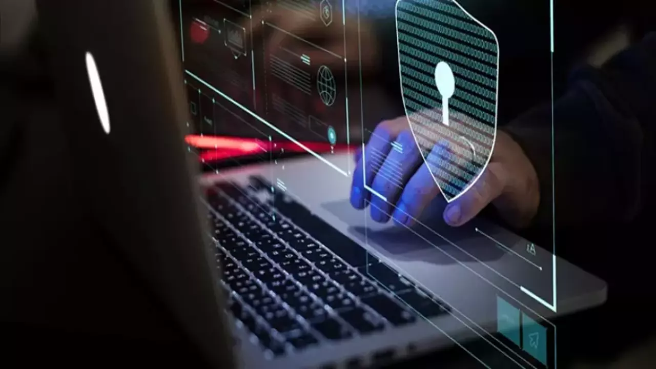 Sınır tanımıyorlar: e-Devlet sistemini bile kopyaladılar
