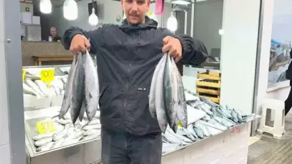 Sinop'ta palamut bereketi! Tezgahlarda fiyatı 50 liraya kadar geriledi
