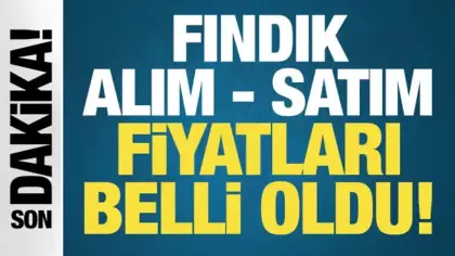 SON DAKİKA: Fındık alım - satım fiyatı belli oldu!