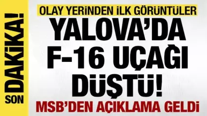 Son dakika: Yalova'da eğitim uçağı düştü!
