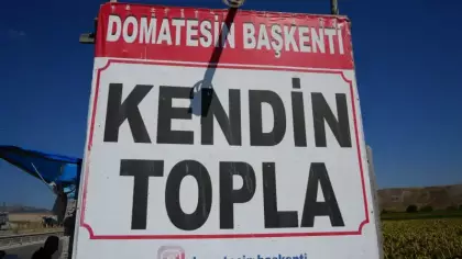 Tabelayı gören tarlaya koşuyor: Gelenek 10 yıldır devam ediyor
