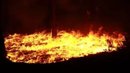 Tarih boyunca yangından en fazla etkilenen iller belli oldu...