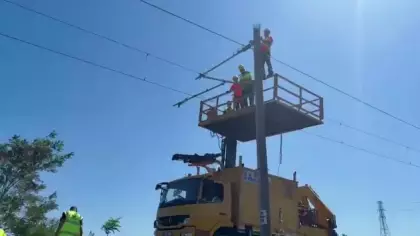 Tarihi demiryolunda leylekler için özel koruma kalkanı devrede