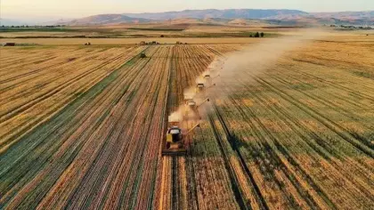 Tarımda Cumhuriyet tarihi rekoru: Türkiye dünyada 7'nci sıraya yükseldi