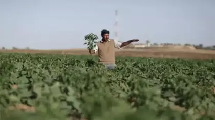 Tarlada çalışan çiftçi İHA ile hedef alındı