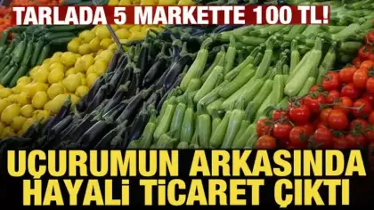 Tarladan markete uzanan fiyat uçurumunun arkasından hayali ticaret çıktı