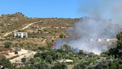 Tatil cenneti Bodrum'da yangın!