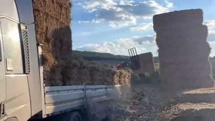 Tekirdağ'da feci kaza! 500 kiloluk saman balyaları can aldı