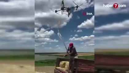 Teknoloji tarlaya indi: Çiftçi dronla saman balyası taşıyor