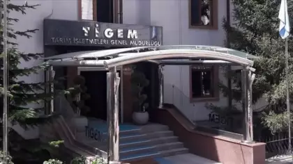 TİGEM 20 bin kilogram karkas sığır eti satacak