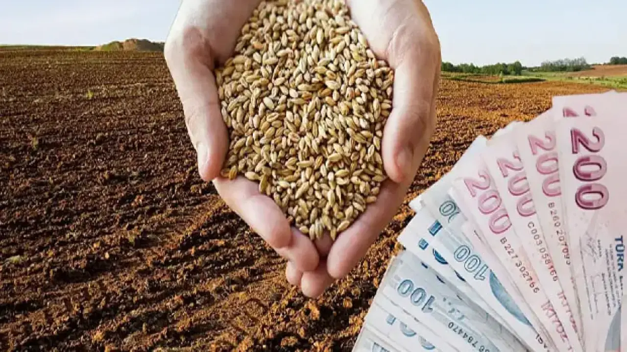 TMO 2026 yılı hububat alım ve satış fiyatlarını açıkladı