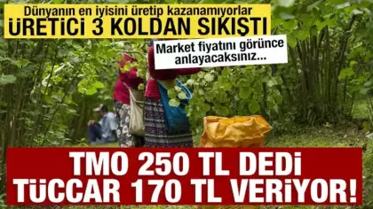 TMO 250 TL dedi, piyasa 170 TL'de kaldı! Çiftçi fiyat, kokarca ve yağmur arasında sıkışıp kaldı