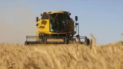 TMO'dan, hububat alım ve ödemesinde rekor