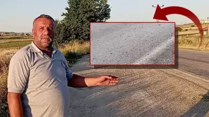 Tokat'ta şaşırtan manzara: Binlercesi kara yolunu bastı! Sürücüler gözlerine inanamadı