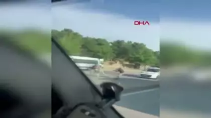 Trafikteki tartışmada sopalar konuştu