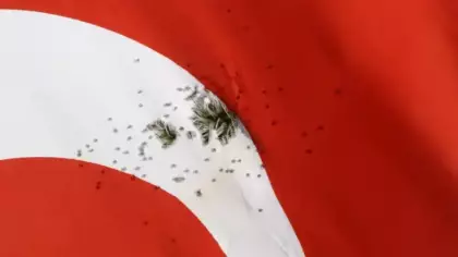 Türk bayrağına ateş edildi! Valilikten açıklama!