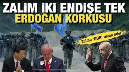 Türkiye'nin sınırları aşan nüfuzu korkuttu: İsrail ve Çin'i aynı anda saran büyük endişe!