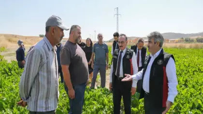 TÜRKŞEKER yeni üretim hedefini açıkladı: 14 fabrika 85 milyonun malıdır
