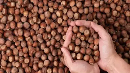 Üreticilerden bakanlığa: 300 liranın altında olmasın!
