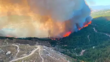 Vali duyurdu: Orman yangınıyla ilgili 2 kişi gözaltına alındı