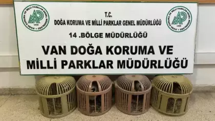 Van’da kaçak avcıya jandarma ve milli parklar engeli!