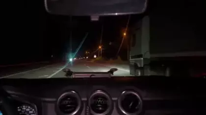 Van'da zehir tacirlerine dev darbe: Tırdan yüzlerce kilo skunk fışkırdı