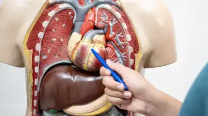 Vücudu yaşlandırıyor: Gizlice yapıyor! Zararı ortaya çıktı
