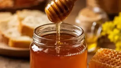 Yayla yayla gezen kardeşler, çeyrek asırdır AB tescilli Bingöl balı üretiyor